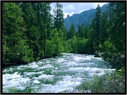 Stan Kalifornia, Las, Góry, Park Narodowy Yosemite, Stany Zjednoczone, Rzeka